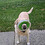 Billy_Merrz